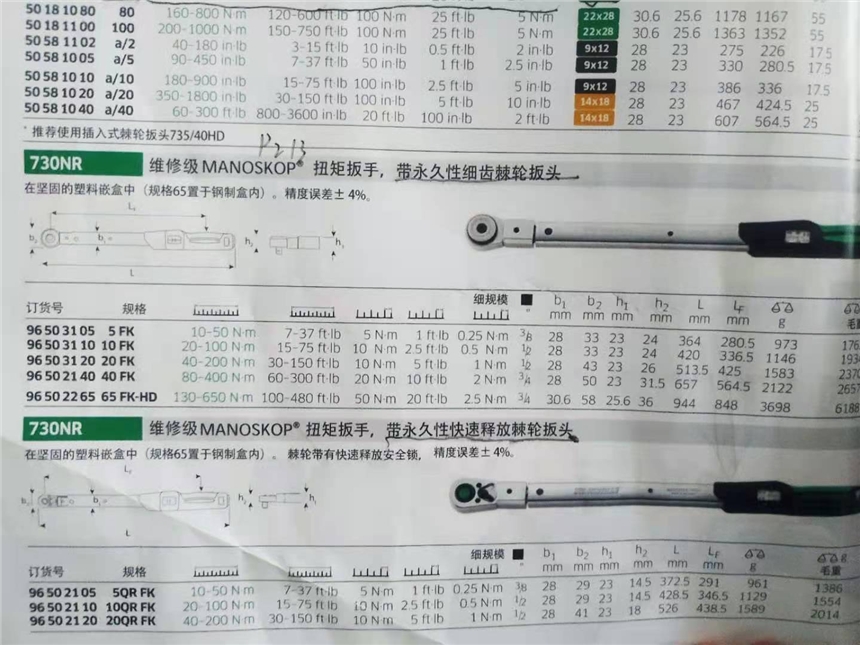 達威力 扭力扳手，（帶固定式棘輪頭）40-200Nm，96502120，730NR/20QR FK